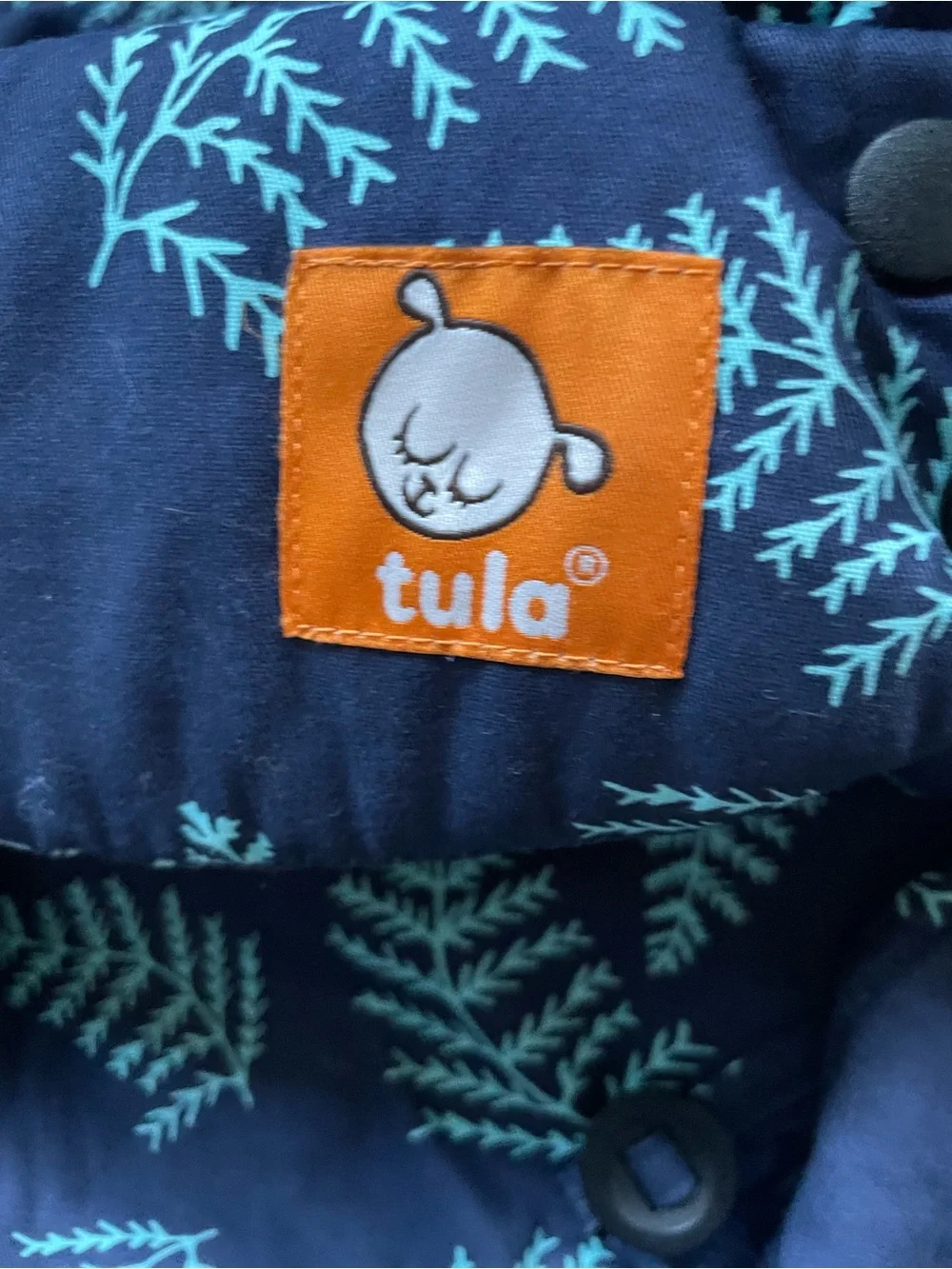 Baby Tula Explore Ergonomic Carrier Everblue Fern Print 7-45 lbs